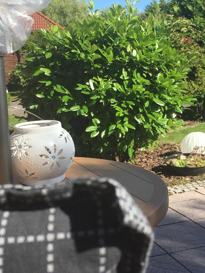 Haus Rose Leilighet Ribnitz-Damgarten Eksteriør bilde