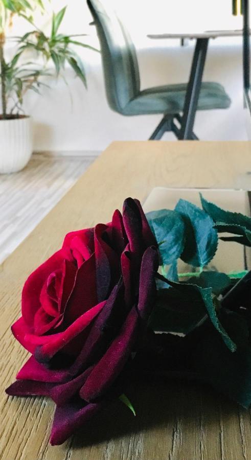 Haus Rose Leilighet Ribnitz-Damgarten Eksteriør bilde