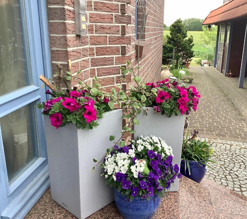 Haus Rose Leilighet Ribnitz-Damgarten Eksteriør bilde